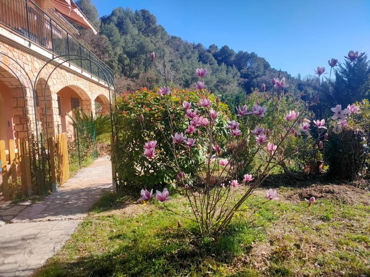Un Brin De Paille Villa Cagnes-sur-Mer Exterior photo