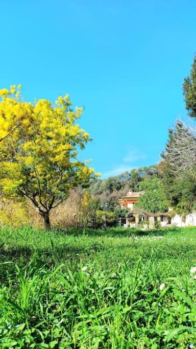 Un Brin De Paille Villa Cagnes-sur-Mer Room photo